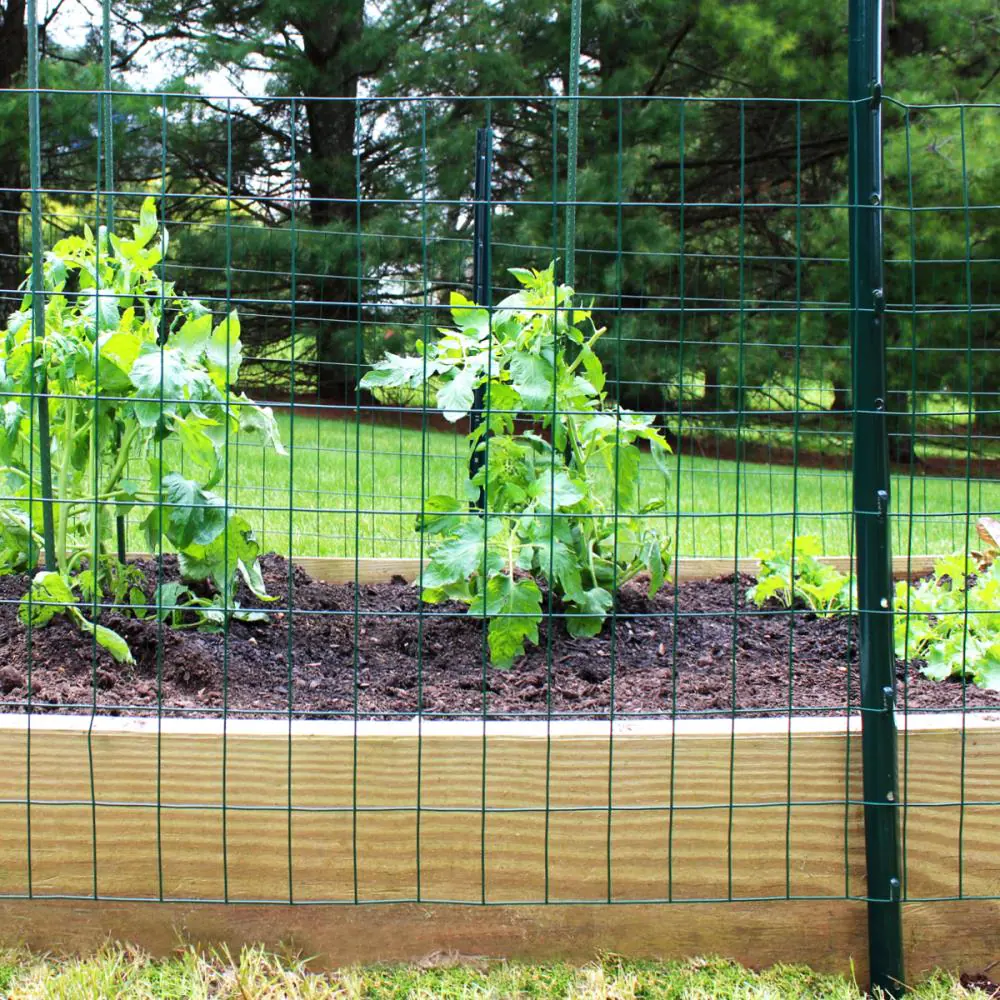 Patio Furniture Shop -Patio Furniture Shop 62277237