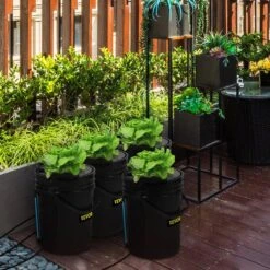 DWC Hydroponic System 5 Gal. Buckets Deep Water Culture Growing Bucket Hydroponics Grow Kit For Outdoor (4-Pack) -Patio Furniture Shop black vevor hydroponic systems ssspxtyx4110vw1xkv1 31 1000