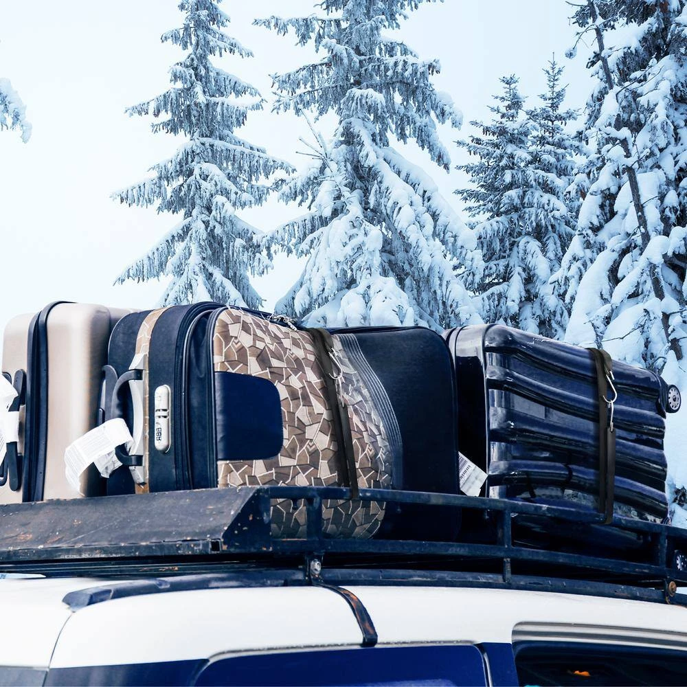 50 Piece Flat Bungee Cord, 19.8 Mm Heavy Duty Bungee Straps With Steel S-Hooks, 31 In. Elastic Bungee Rope For Cargo 10 50 Piece Flat Bungee Cord, 19.8 Mm Heavy Duty Bungee Straps With Steel S-Hooks, 31 In. Elastic Bungee Rope For Cargo - Image 8