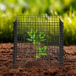 10-Pack Plant Protector From Animals 12 In.x 12 In. Plant Cage -Patio Furniture Shop black vevor plant tree covers qbwzcl12ychs5iv6fv0 31 1000