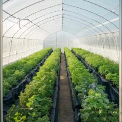 10 Mil Plastic Sheeting Heavy Duty 20 X 100 In. Thick Plastic Sheeting Roll, Plastic Drop Cloth Painters Tarp -Patio Furniture Shop black vevor tomato cages slm20ft100ft86lrdv0 31 1000