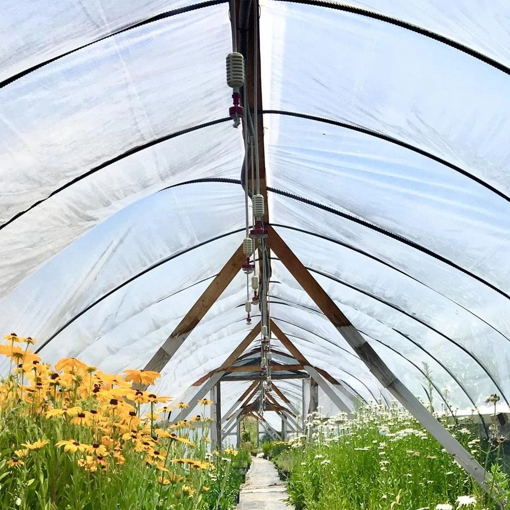 Greenhouse Film 16 Ft. X 28 Ft. 6 Ml Polyethylene UV Resistant Greenhouse Clear Plastic For Agriculture 10 Greenhouse Film 16 Ft. X 28 Ft. 6 Ml Polyethylene UV Resistant Greenhouse Clear Plastic For Agriculture - Image 8
