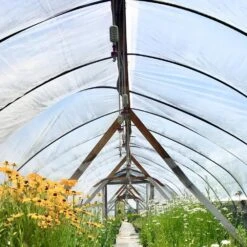 8 Ft. X 25 Ft. 6 Mil Greenhouse Film UV Resistant High Tenacity Clear Greenhouse Plastic Sheeting As Moisture Barrier -Patio Furniture Shop clear vevor plant tree covers pewsm825ft0000001v0 31 1000