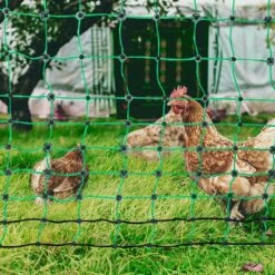 Electric Fence Netting 48 In. H X 168 In. L PE Net Fencing Kit With Double-Spiked Stakes Utility Portable Mesh Polywire 17 Electric Fence Netting 48 In. H X 168 In. L PE Net Fencing Kit With Double-Spiked Stakes Utility Portable Mesh Polywire -Patio Furniture Shop green vevor garden fencing xxjqwlw48in1mre8av9 31 1000