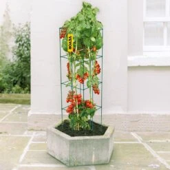 14.6 In. X 14.6 In. X 39.4 In. Tomato Cages For Garden Square Plant Support Cages Green Steel Tomato Towers (3-Pack) 17 14.6 In. X 14.6 In. X 39.4 In. Tomato Cages For Garden Square Plant Support Cages Green Steel Tomato Towers (3-Pack) -Patio Furniture Shop green vevor tomato cages fxkzdfq14 639tgkgv0 31 1000