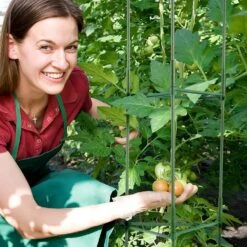 6-Packs Tomato Cages For Garden, 48 In.Tomato Trellis Plant Stakes Support, Stackable Tall Plant Support Cage,for Garden -Patio Furniture Shop green vevor tomato cages kzdfqzzzcj480ig42v0 31 1000