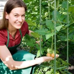 4-Packs Tomato Cages For Garden, 63 In. Tomato Trellis Plant Stakes Support,Stackable Tall Plant Support Cage,for Garden -Patio Furniture Shop green vevor tomato cages kzdfqzzzcj68fh9y4v0 31 1000