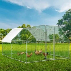 Large Metal Chicken Coop Run Walk-in Chicken Runs ‎ 153.6 In. X 117.6 In. X 78 In. Poultry Cage Hen House Greenhouse -Patio Furniture Shop multi vevor greenhouse supplies hwj9 212 56 51w60v0 31 1000