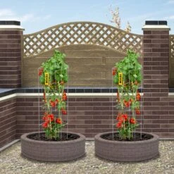 11.8 In. X 11.8 In. X 46.1 In. Tomato Cage Square Plant Support Cages Silver Steel Tomato Towers, (10-Pack) 17 11.8 In. X 11.8 In. X 46.1 In. Tomato Cage Square Plant Support Cages Silver Steel Tomato Towers, (10-Pack) -Patio Furniture Shop silver vevor tomato cages fxkzdfqzz1246au8wv0 31 1000