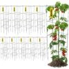 11.8 In. X 11.8 In. X 46.1 In. Tomato Cage Square Plant Support Cages Silver Steel Tomato Towers, (10-Pack) -Patio Furniture Shop silver vevor tomato cages fxkzdfqzz1246au8wv0 64 1000