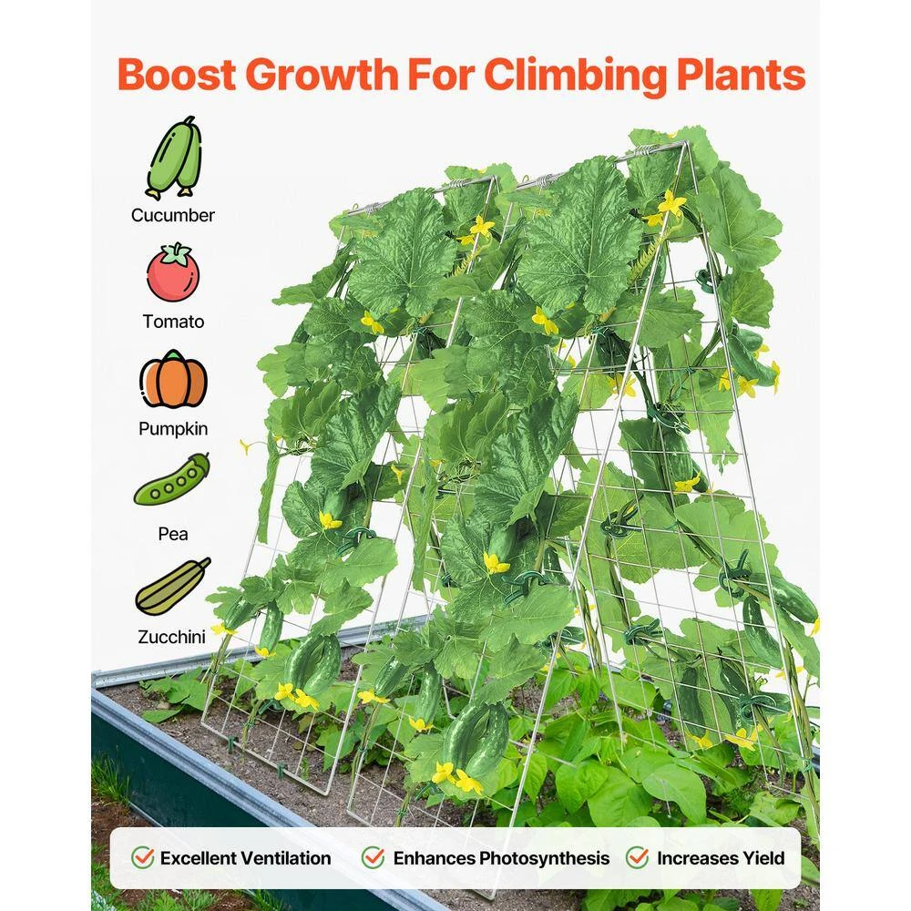 Cucumber Trellis For Climbing Plants 35 In. X 55 In. Foldable Cucumber Trellis Set With Plant Clips Outdoor 2025 Upgrade 6 Cucumber Trellis For Climbing Plants 35 In. X 55 In. Foldable Cucumber Trellis Set With Plant Clips Outdoor 2025 Upgrade - Image 4