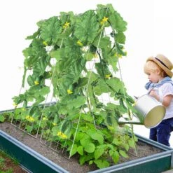 Cucumber Trellis For Climbing Plants 35 In. X 55 In. Foldable Cucumber Trellis Set With Plant Clips Outdoor 2025 Upgrade 17 Cucumber Trellis For Climbing Plants 35 In. X 55 In. Foldable Cucumber Trellis Set With Plant Clips Outdoor 2025 Upgrade -Patio Furniture Shop sliver vevor tomato cages hgpjtxczaxj3jgfluv0 31 1000