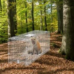 Live Animal Cage Trap 50 In. X 20 In. X 26 In. Humane Cat Trap Galvanized Iron Folding Animal Trap With Handle -Patio Furniture Shop traps ybl50yc00000vgixyv0 31 1000