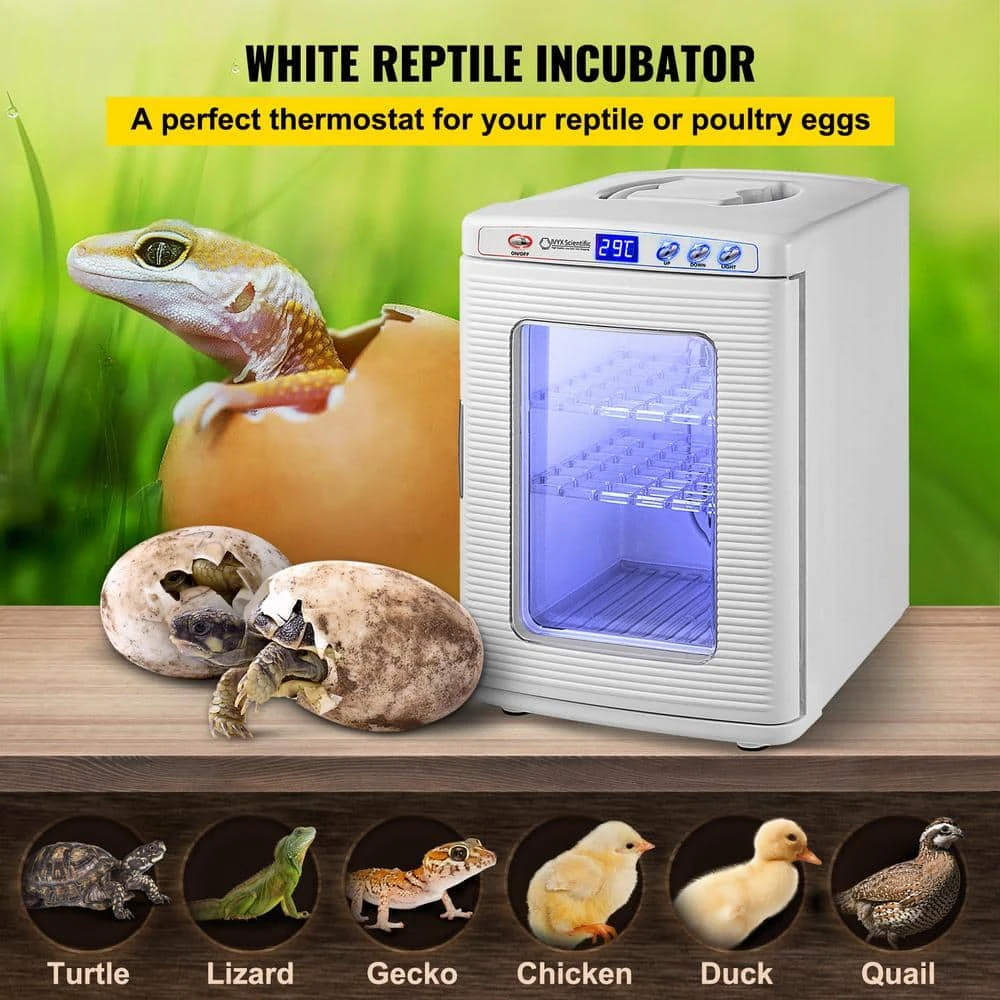 Reptile Incubator 13 In. X 15 In. X 19 In. Digital Cooling, Heating Reptile Egg Incubator For Reptiles, White Greenhouse 4 Reptile Incubator 13 In. X 15 In. X 19 In. Digital Cooling, Heating Reptile Egg Incubator For Reptiles, White Greenhouse - Image 2