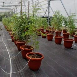 4 Ft. X 100 Ft. Black Weed Barrier Fabric 5.8 Oz. Dual Layer Degradable Heavy-Duty Weed Barrier Landscape Fabric -Patio Furniture Shop vevor landscape fabric fcby41005 8oznqayv0 31 1000