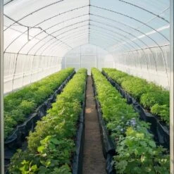 10 Mil Plastic Sheeting Heavy Duty 10 X 100 Ft. Thick Plastic Sheeting Roll Drop Cloth Painters Tarp Weed Barrier -Patio Furniture Shop vevor landscape fabric slm10ft100ft8m2u2v0 31 1000