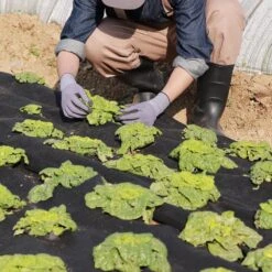 Weed Barrier Fabric, 3.28 X 164 Ft. Non Woven Geotextile Fabric, Heavy Duty Garden Underlayment 4.43 Oz. Drainage Fabric 17 Weed Barrier Fabric, 3.28 X 164 Ft. Non Woven Geotextile Fabric, Heavy Duty Garden Underlayment 4.43 Oz. Drainage Fabric -Patio Furniture Shop vevor landscape fabric wfb1m50m100gaquy7v0 31 1000