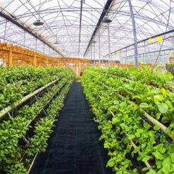 6 Ft. X 300 Ft. Premium Weed Barrier Fabric Heavy-Duty, Weed Barrier Landscape Fabric -Patio Furniture Shop vevor landscape fabric zzzp6x300yc3 2oz1v0 31 1000