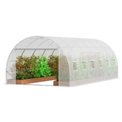 Walk-in Tunnel Greenhouse 19.4 X 9.7 X 6.5 Ft. Hoop House Greenhouse Tunnel, With Galvanized Steel Frame, White PE Cover